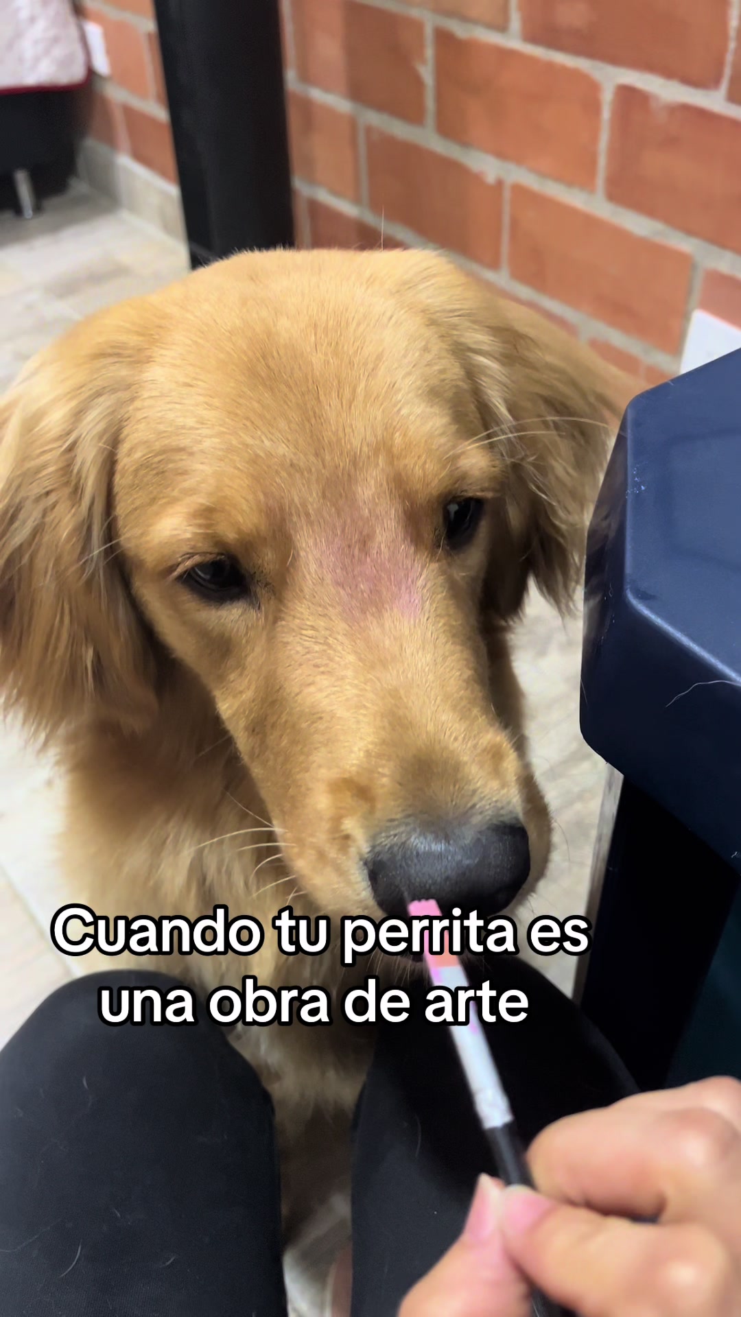 @Mila 🐶