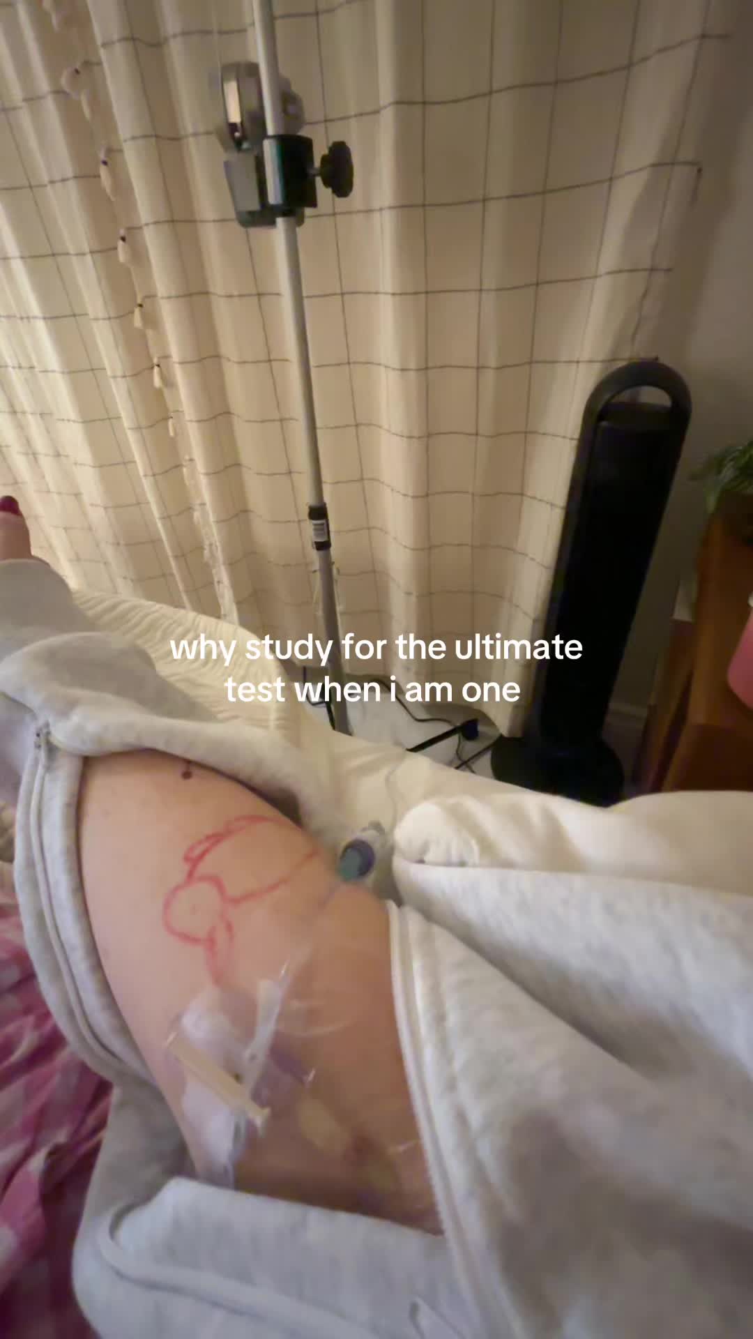 @hollyn🐞- OMS IV