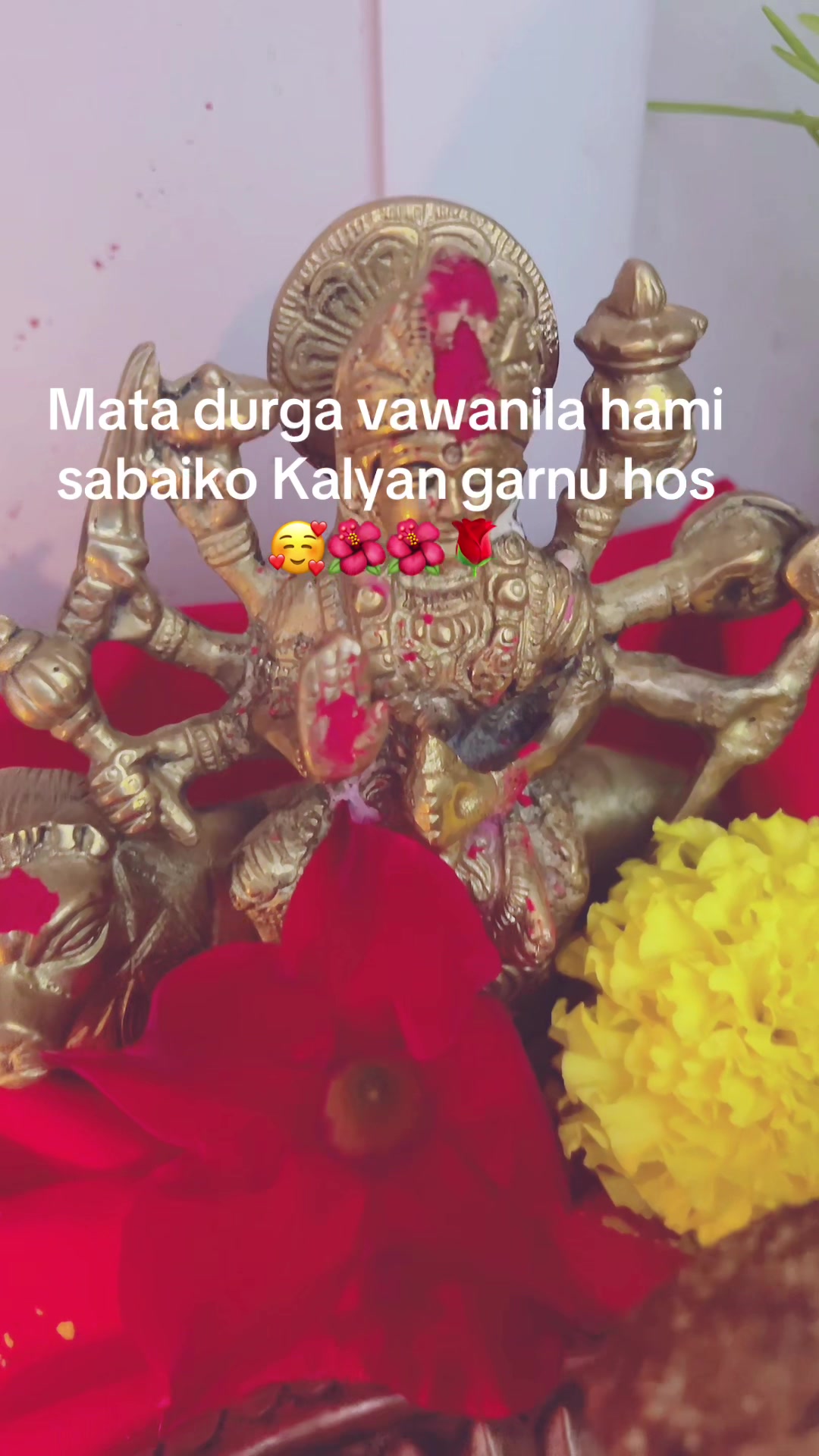 @Shrisha
