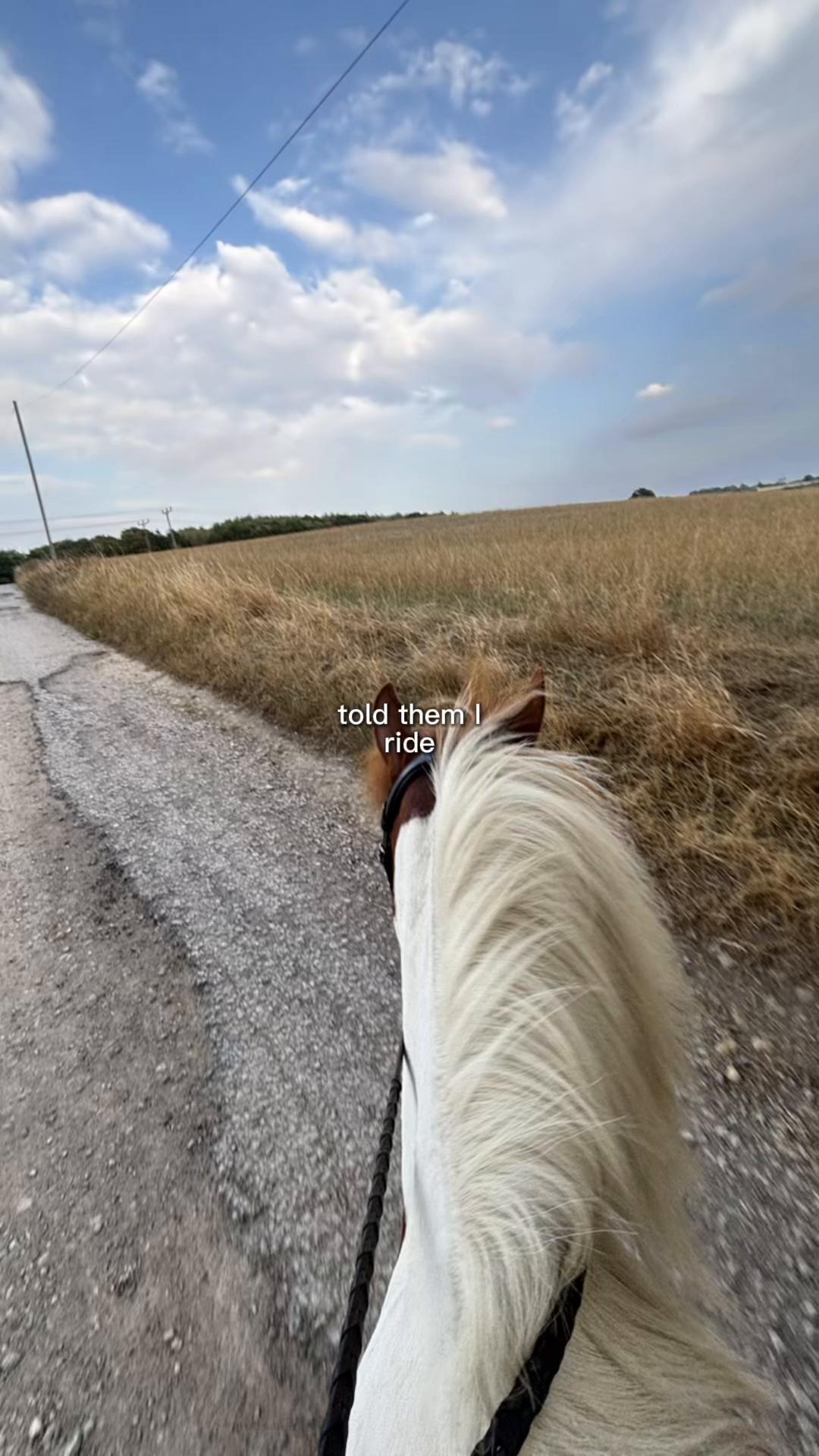 @LottiesHorseAdventures🦄🐴