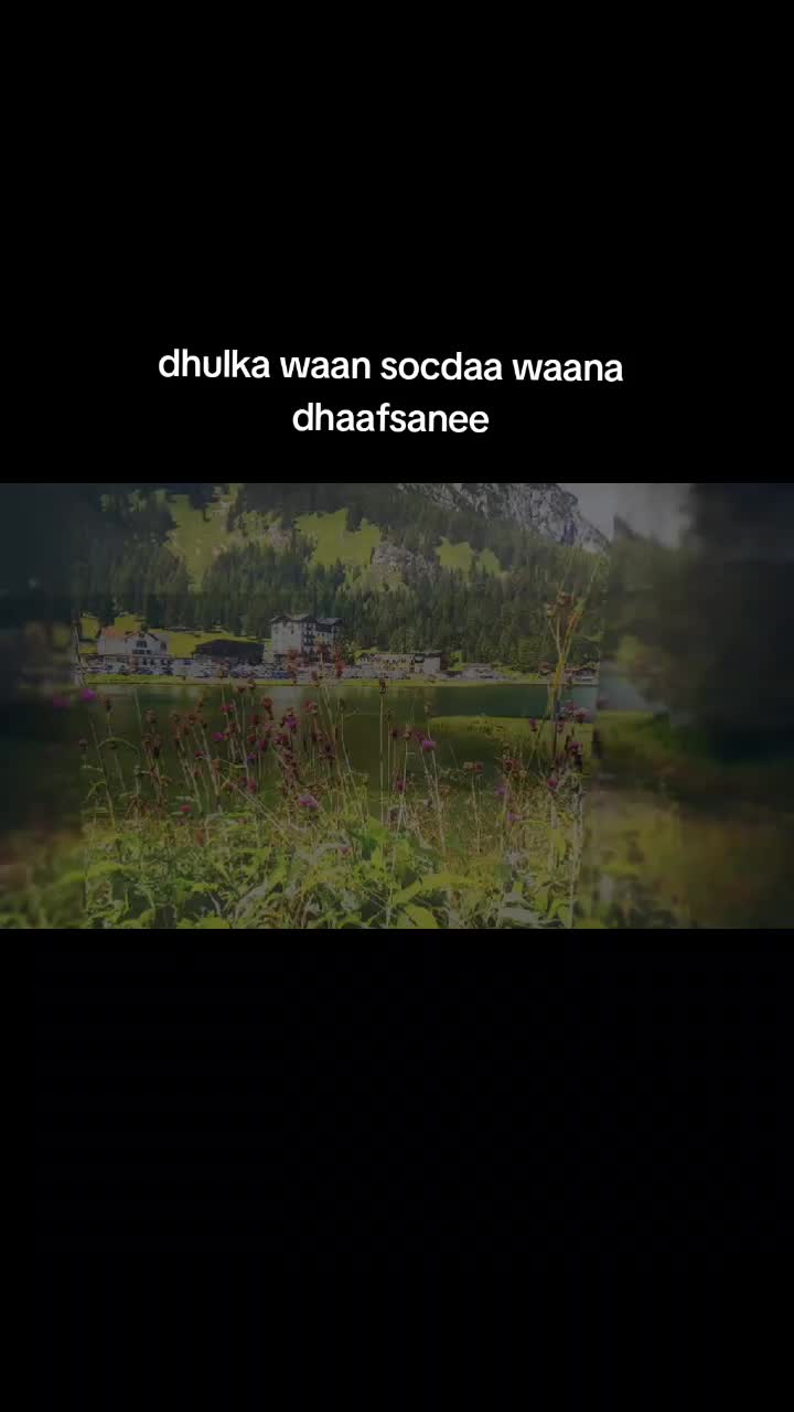 @xadarmi boy lyrics