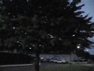 @ֶָ֢