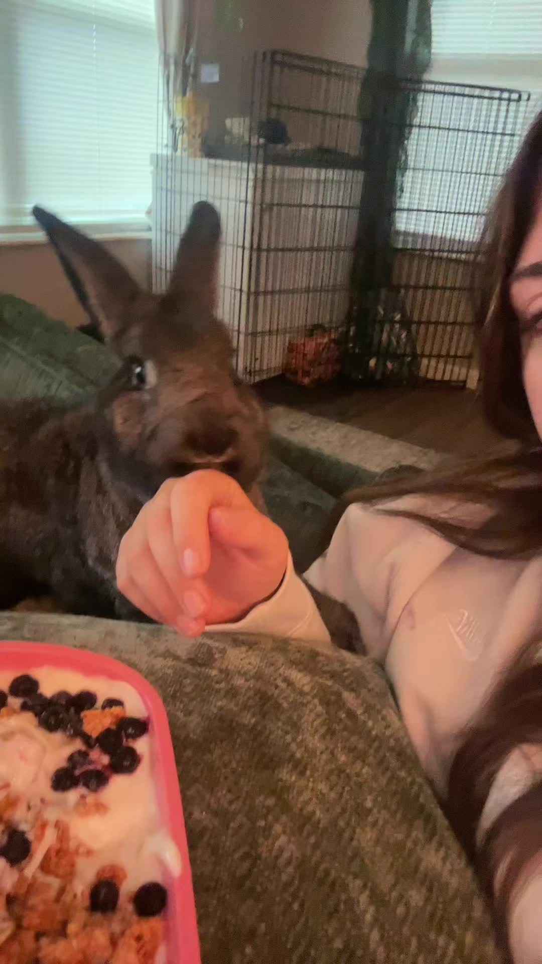 @meganishername