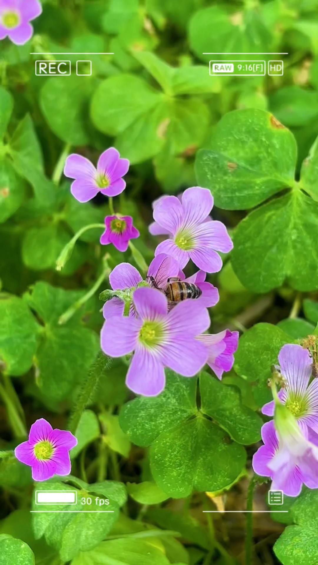 @💞🌻🪬SkyFlowerKrista🪬🌻💞