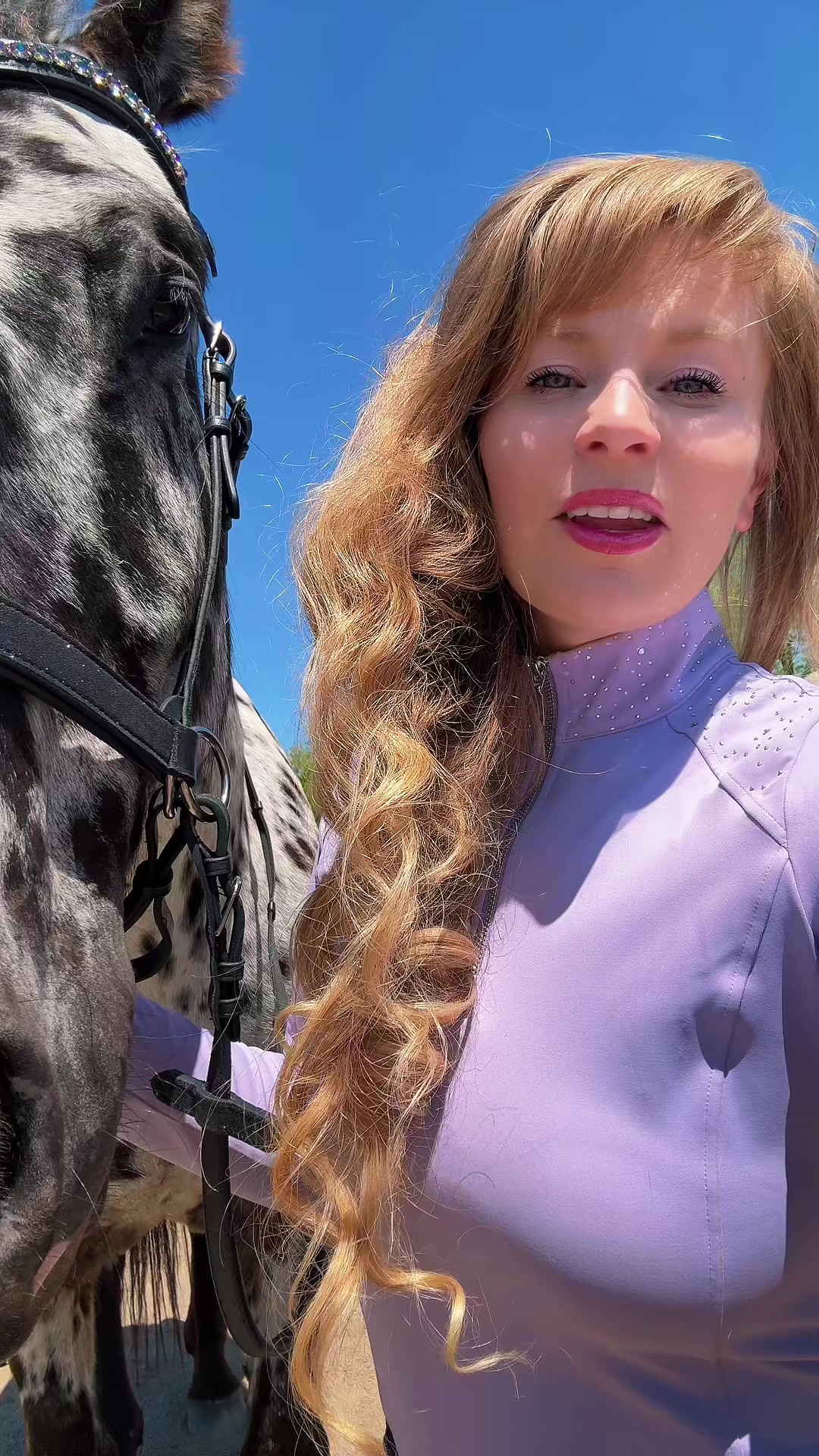 @Free Spirit Equestrian