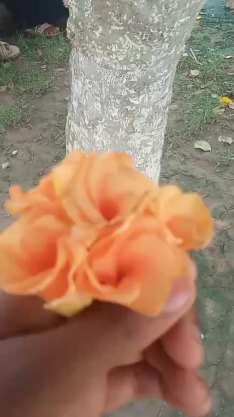 @sweet girl