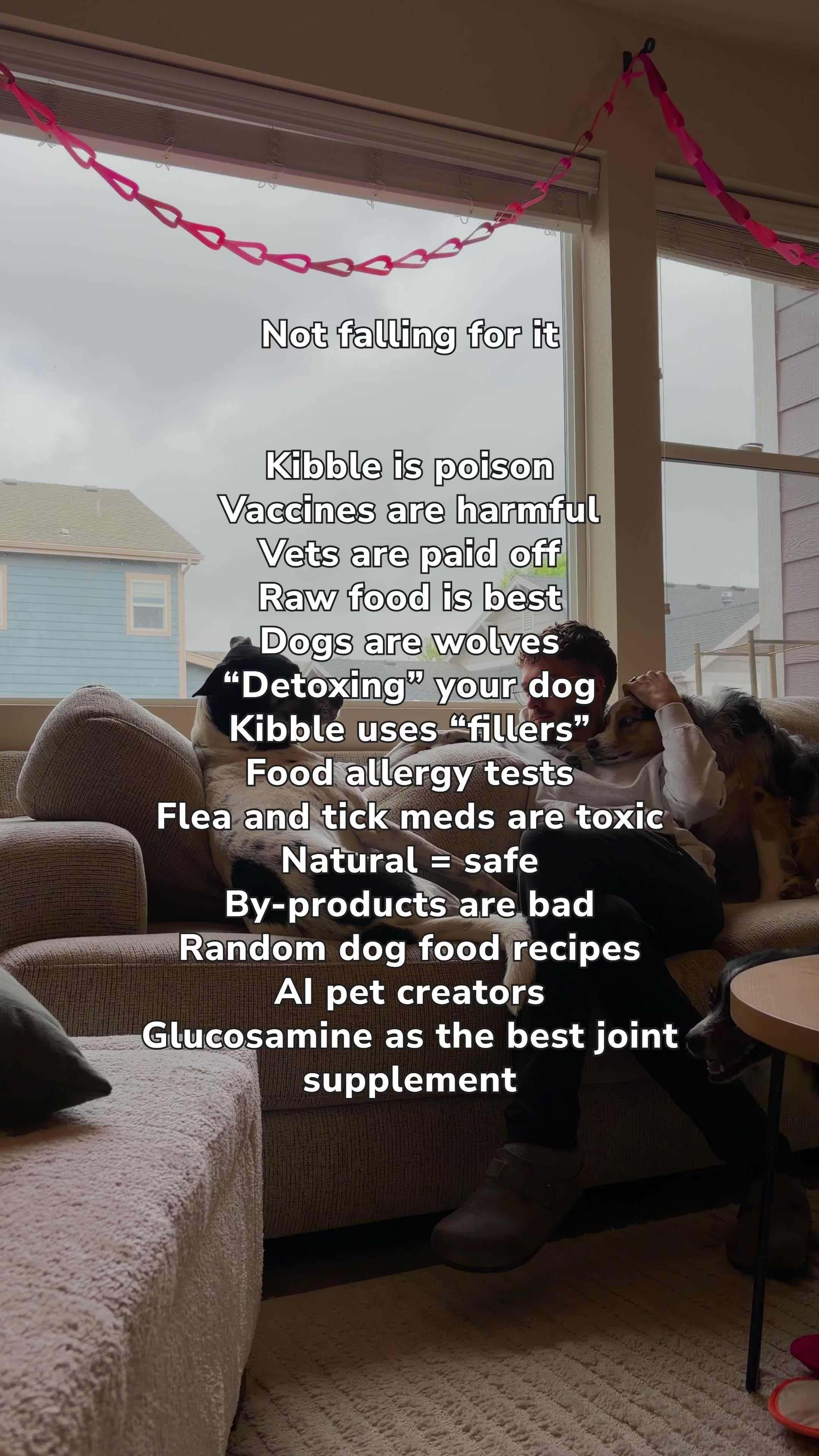 @The BK Pets - Dog Food Tips