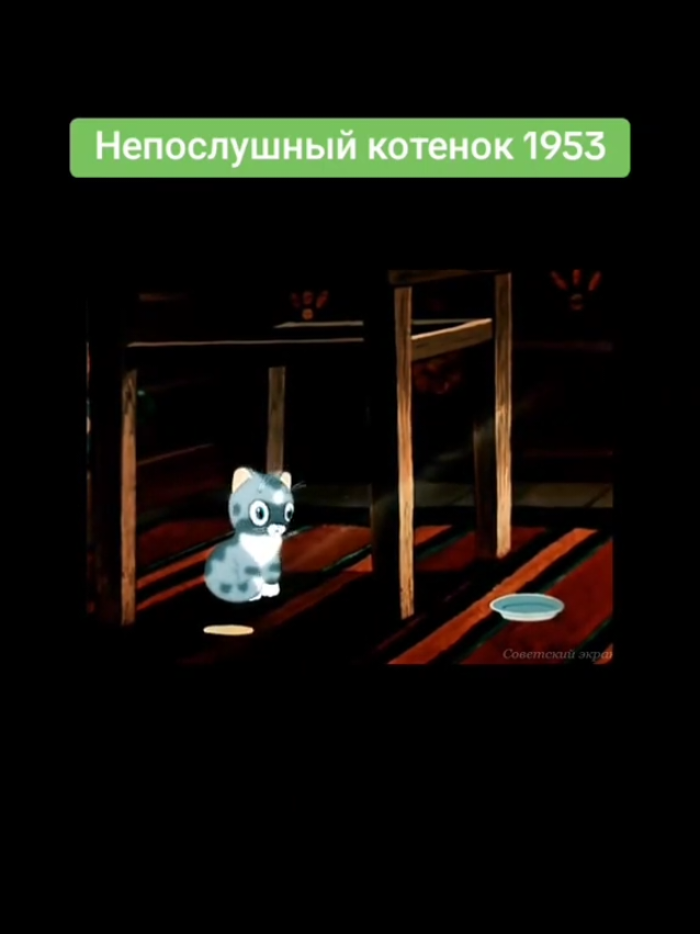 @rainkino