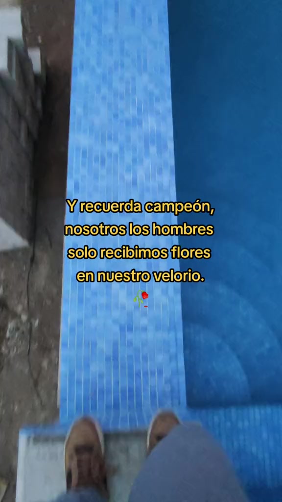 @Tavozdk