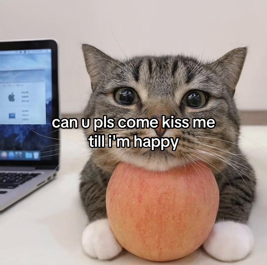 @Alice.cattok