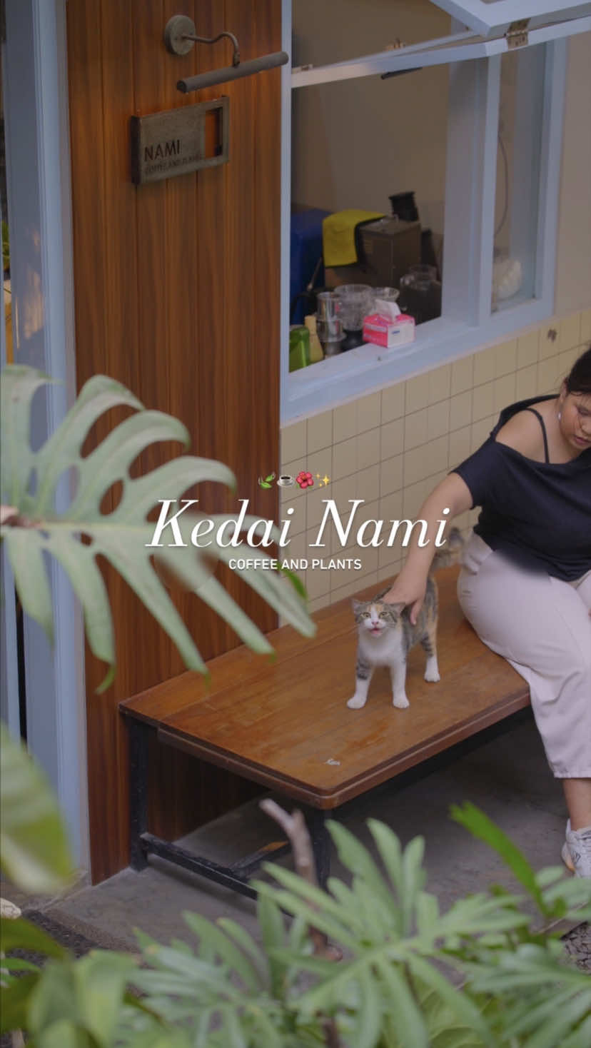 @kesanadulu