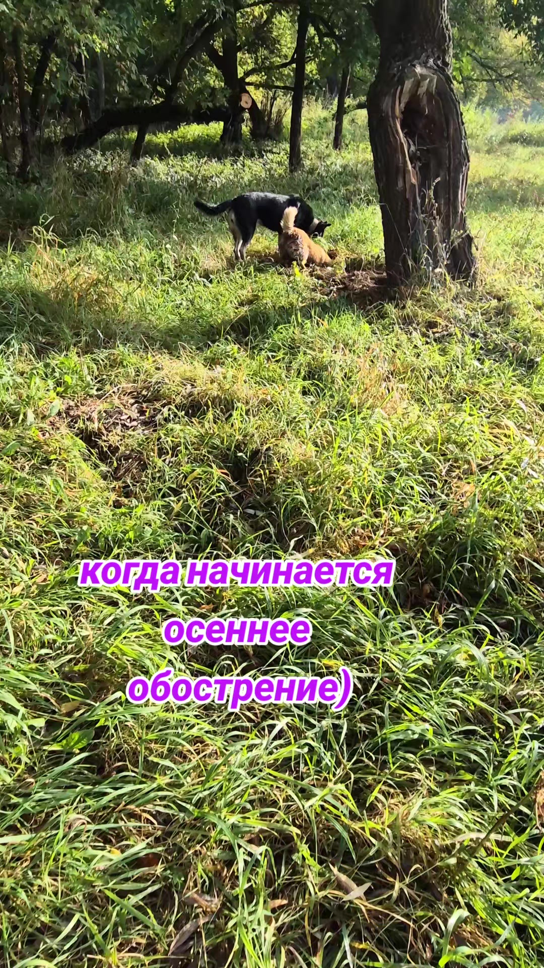 @Evgeniy