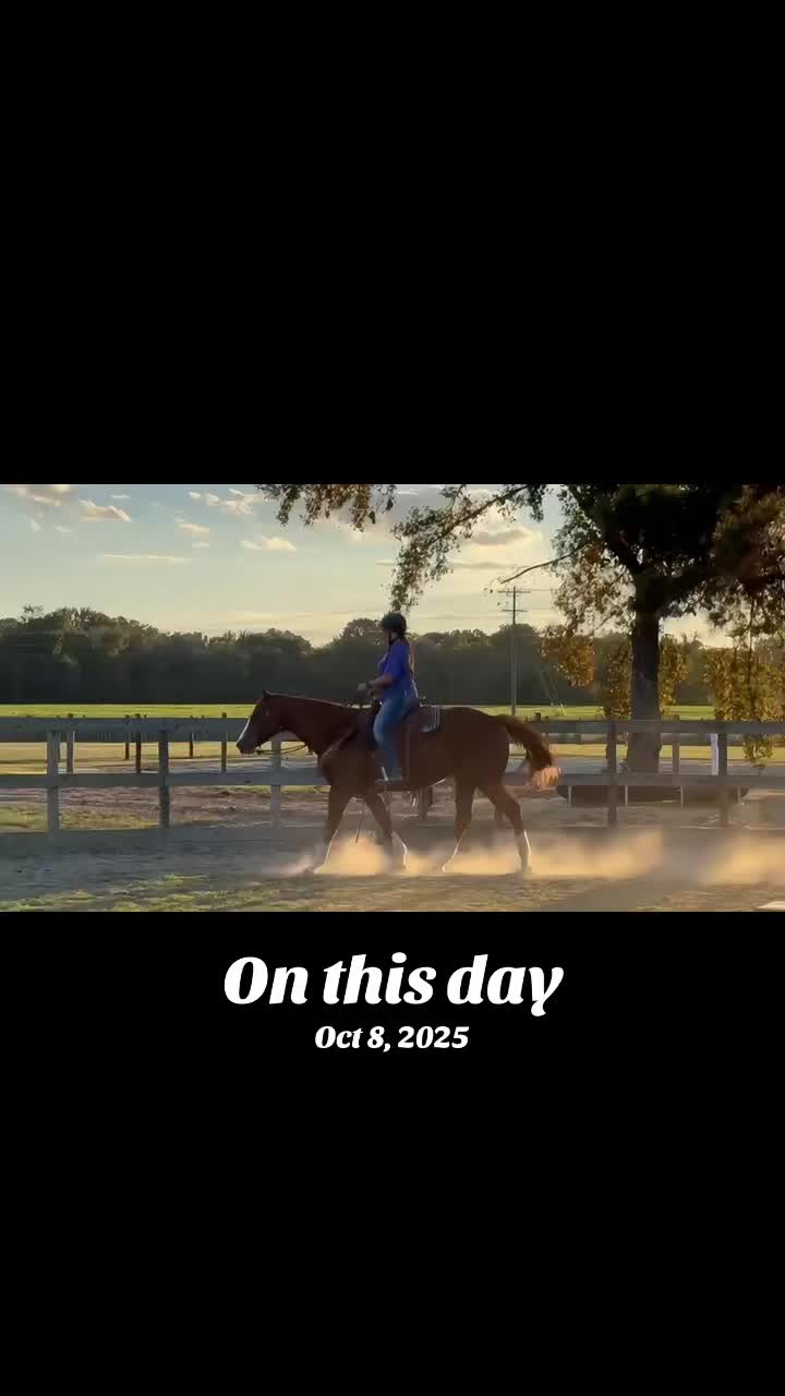 @Horselife