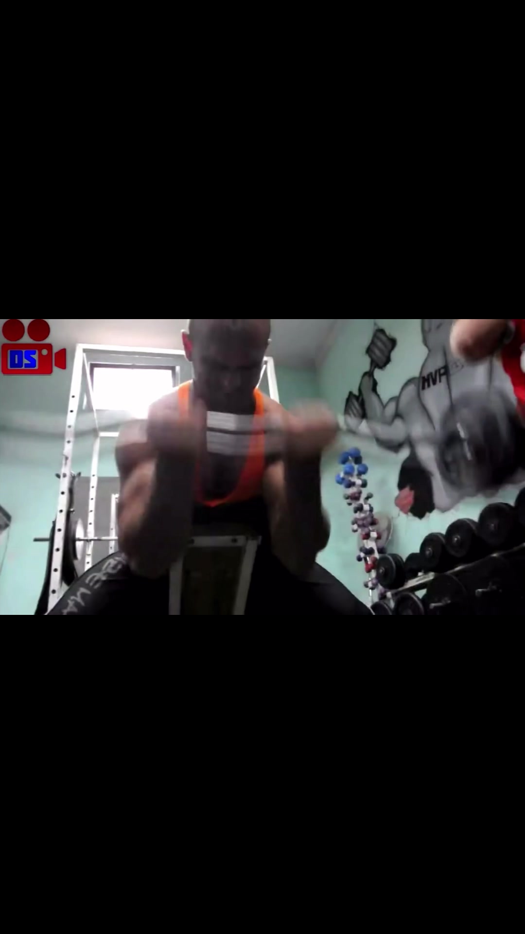 @balkan_bodybuilding