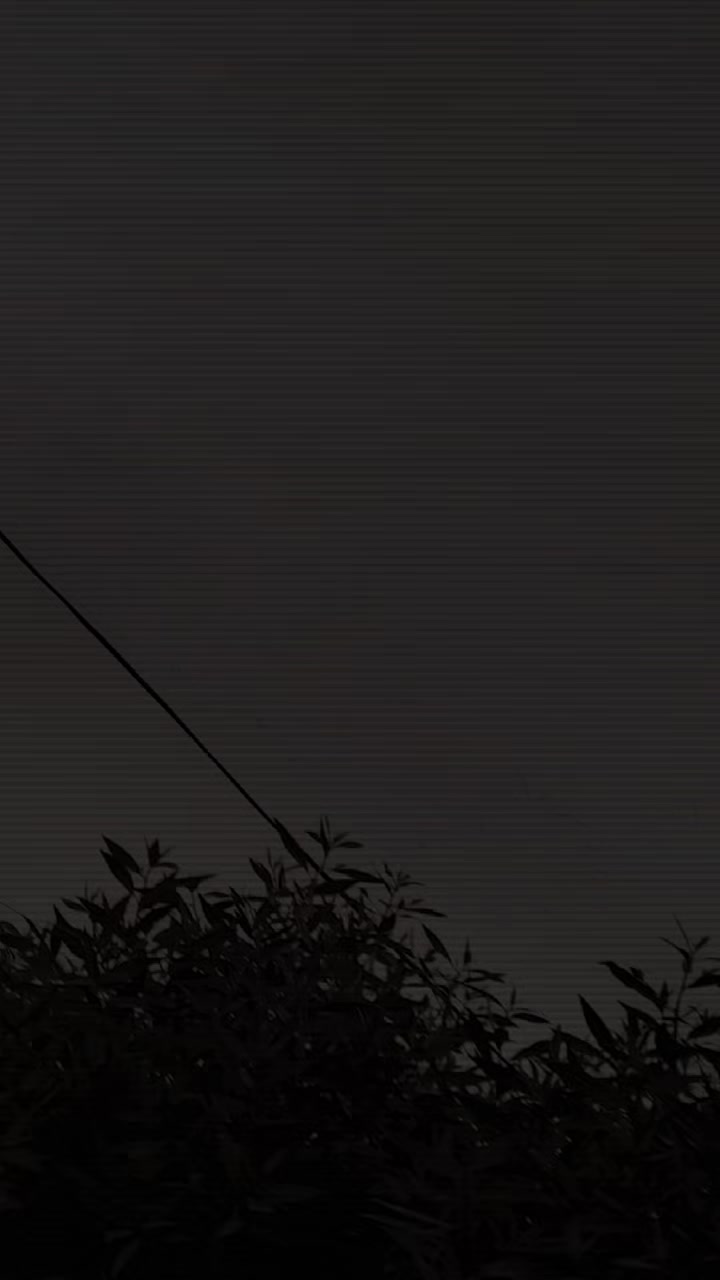 @ʟᴜʙɴᴀ ᴡᴀsᴇᴇᴍ☠️
