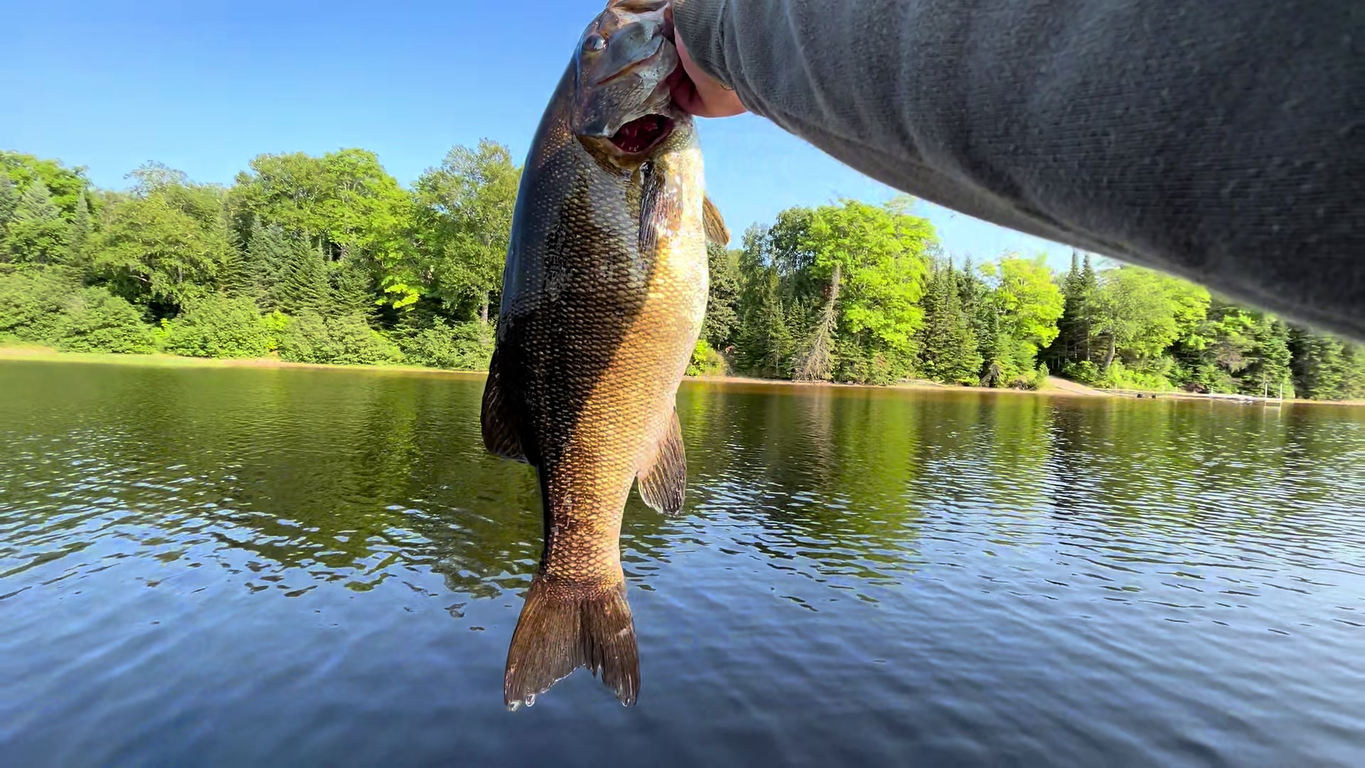 @BassMaxxers