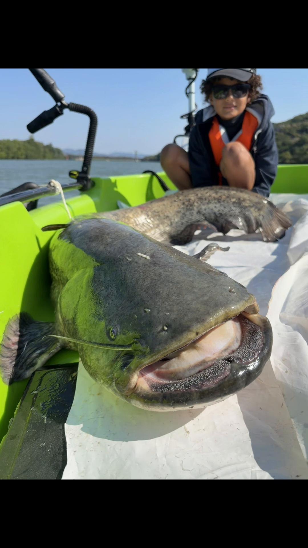 @crazybigbaits