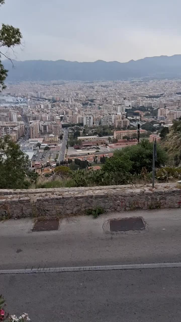 @salvo
