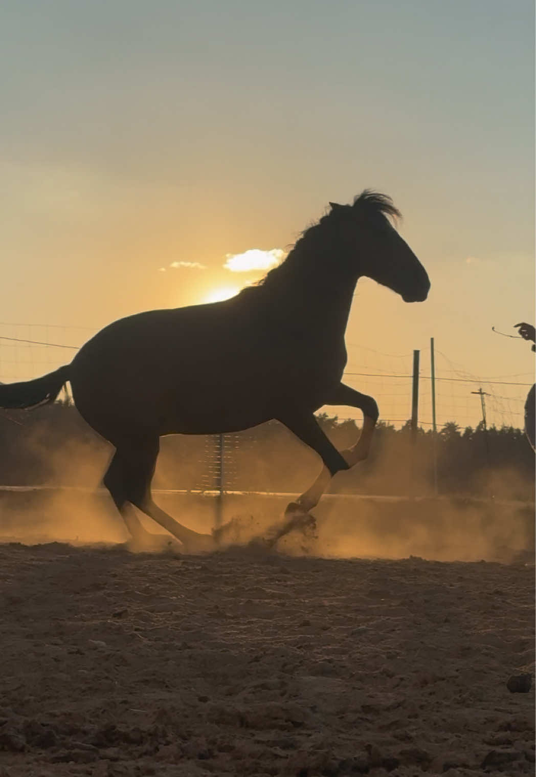 @FieryHorses ❤️&zwj;🔥