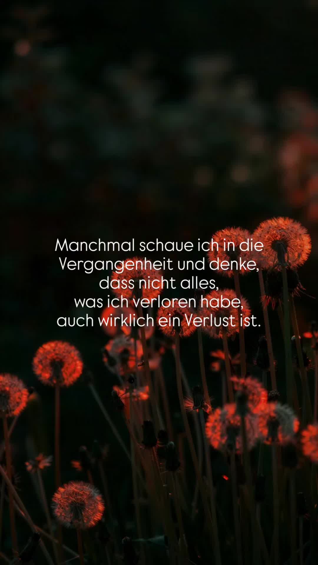 @Franzi🌻