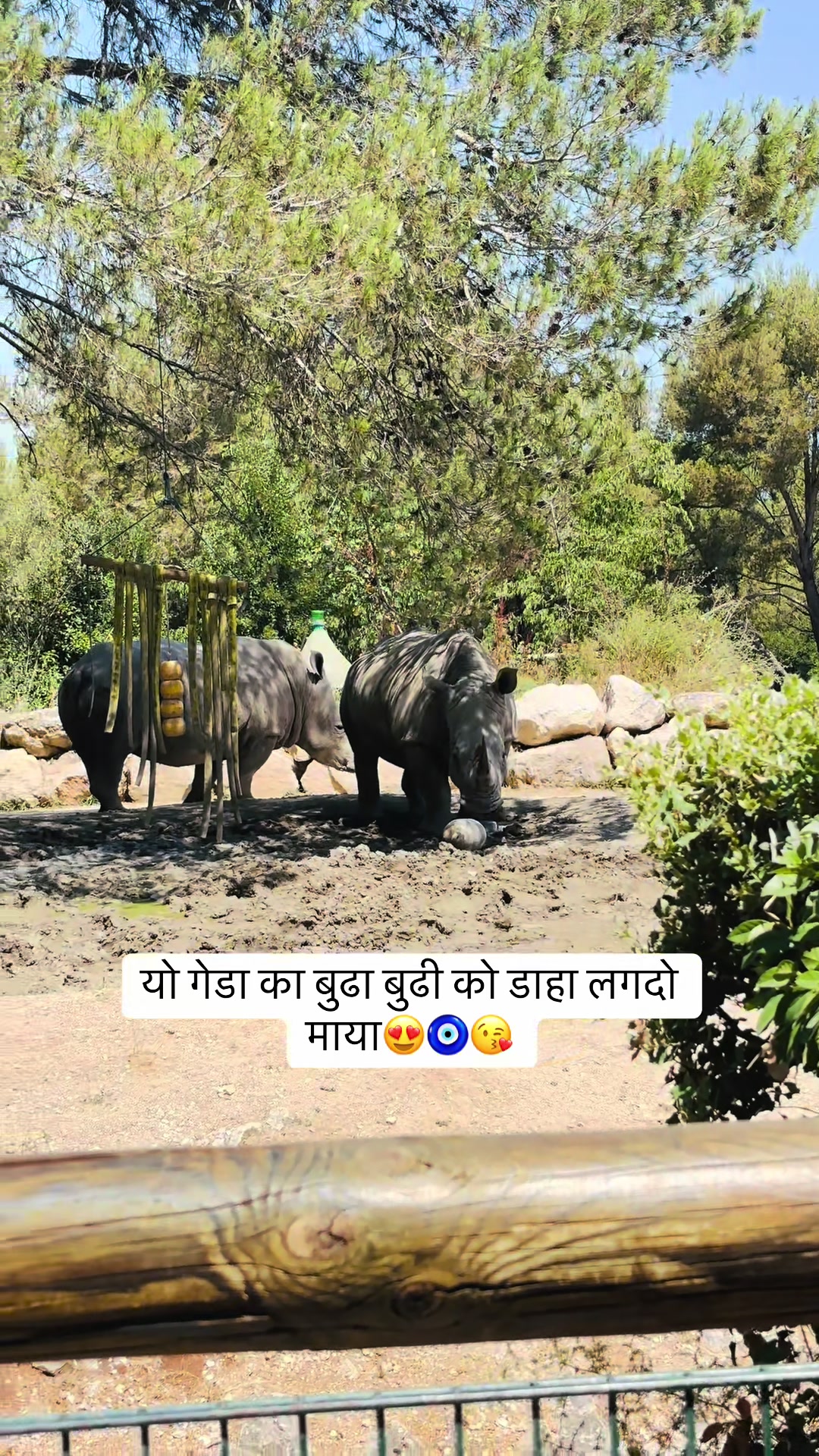 @Anurak