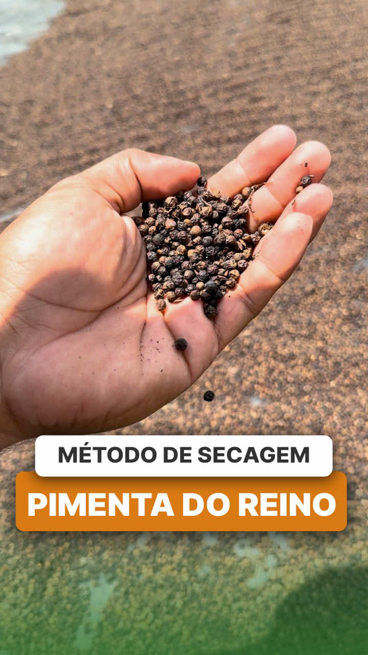 @ViveiroProMudas