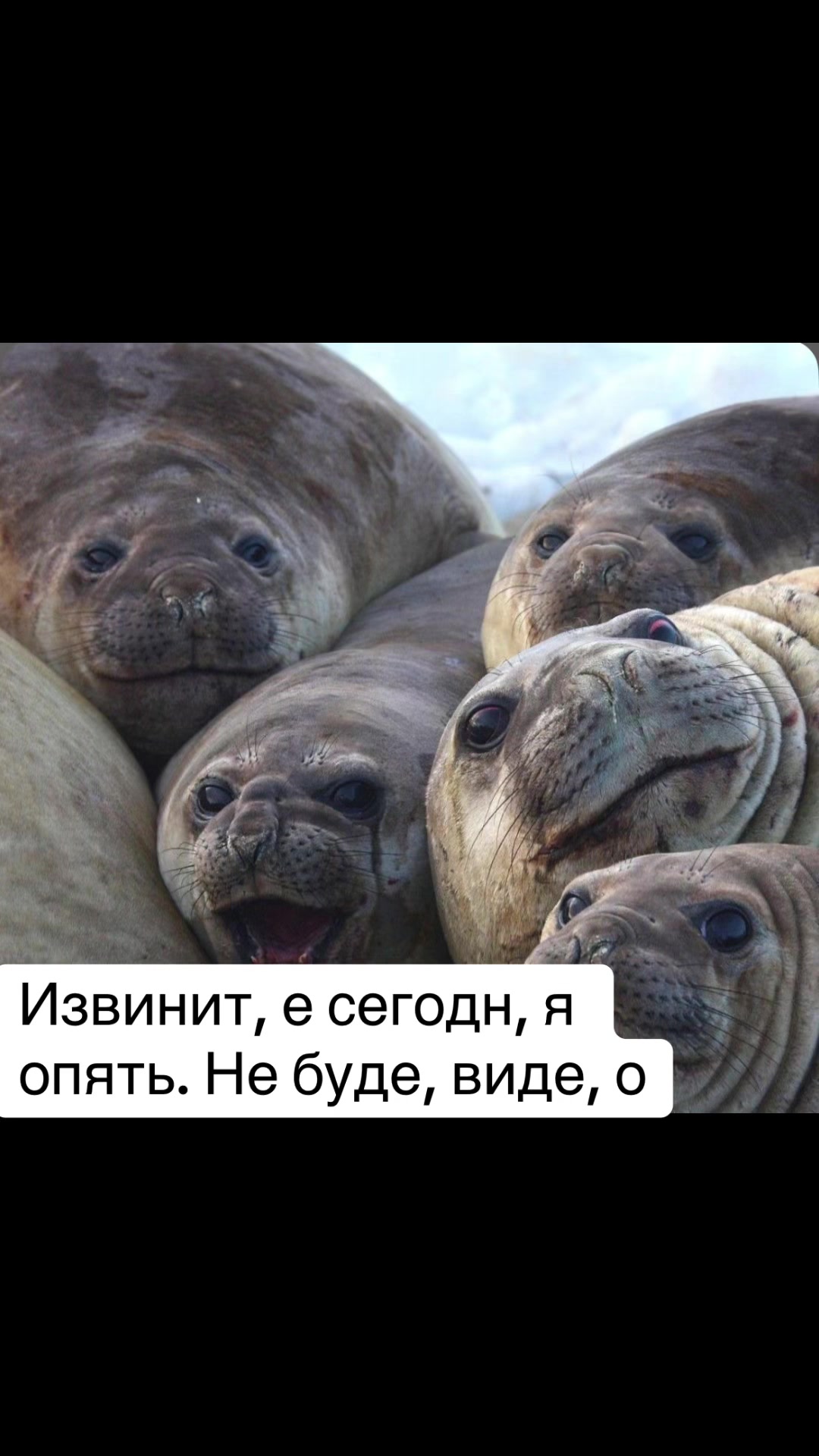 @Сырвырув