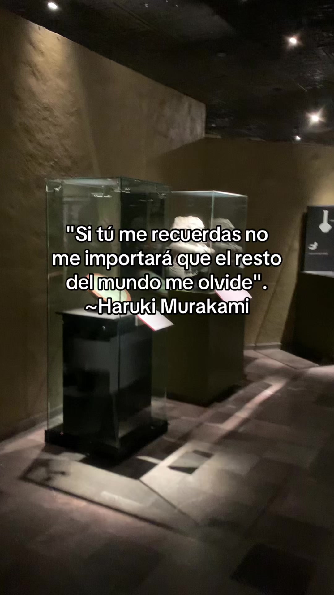 @faustgoethe279