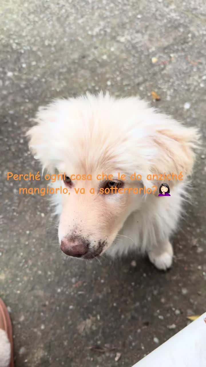 @__hair.D.e.B.eauty__