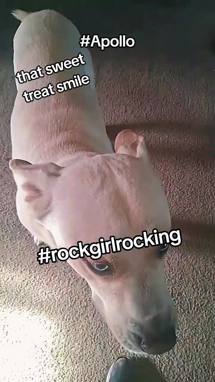 @RockGirlRocking