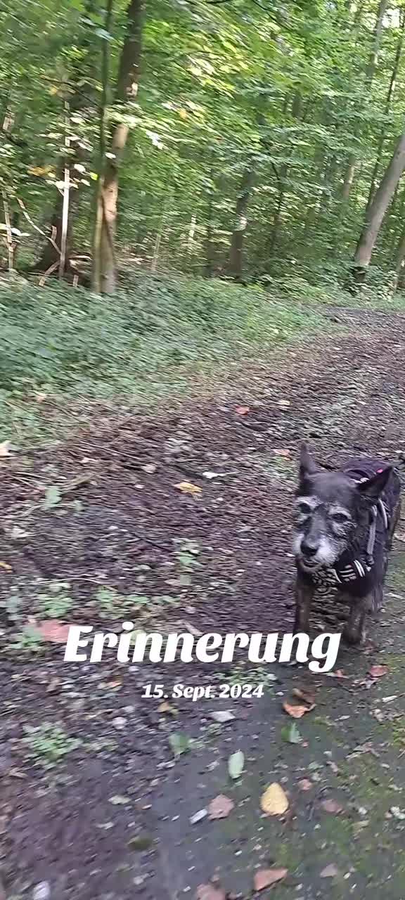 @Maya'sAbenteuer_HexeErinnerung