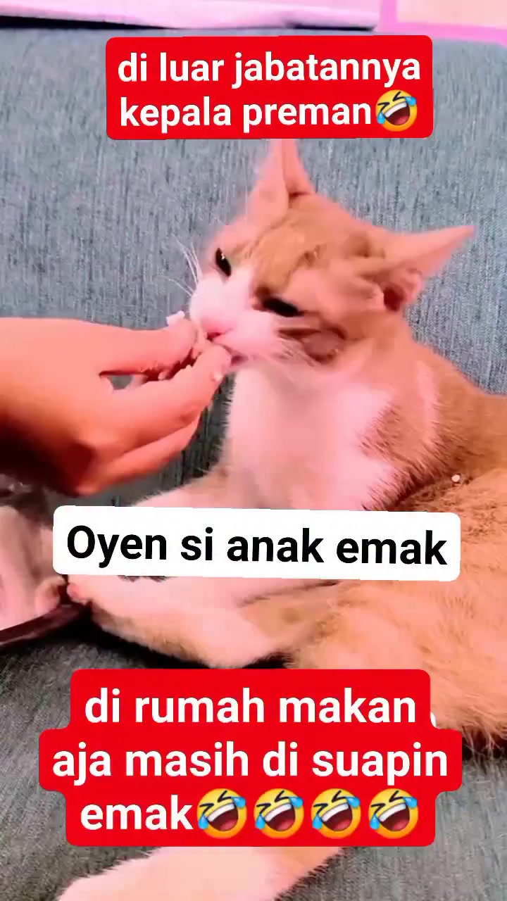 @dwikaputramahardika