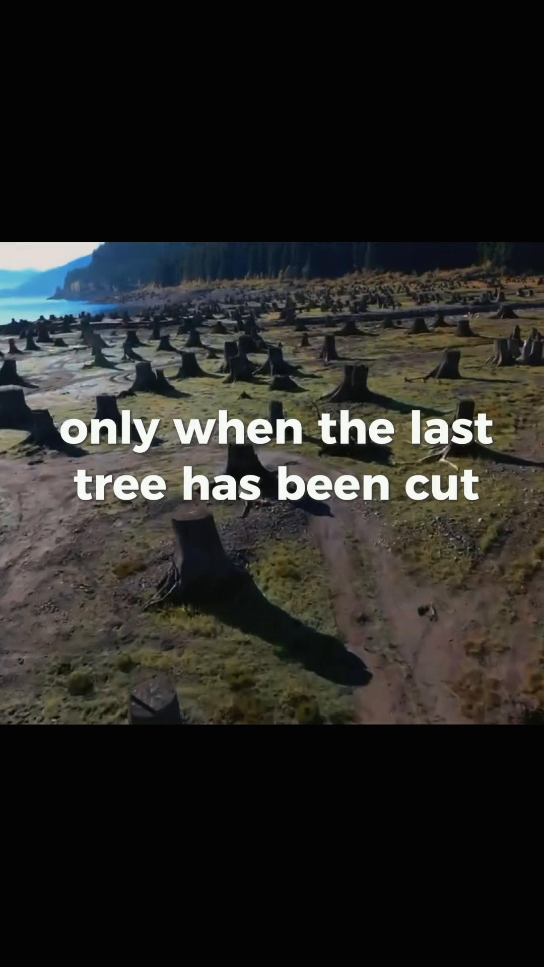 @TruthSeeker