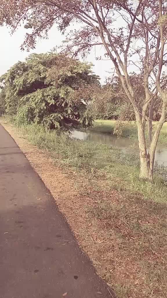 @Sadew Nimesha