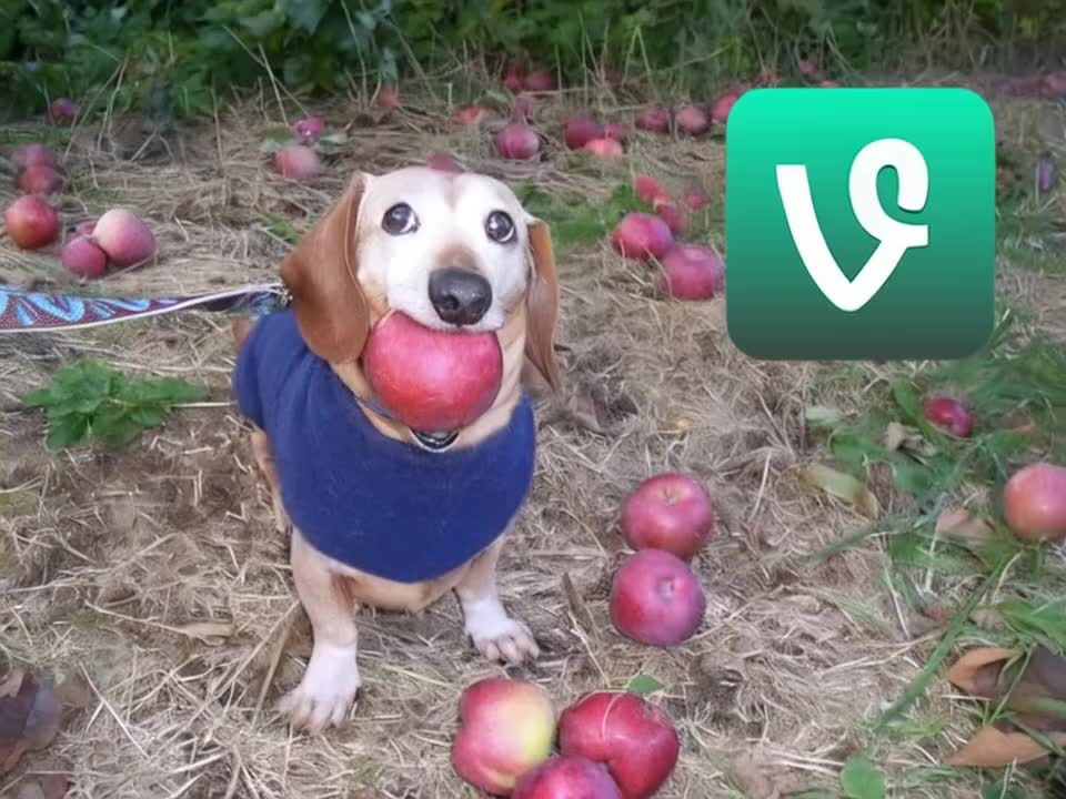 @varioustries