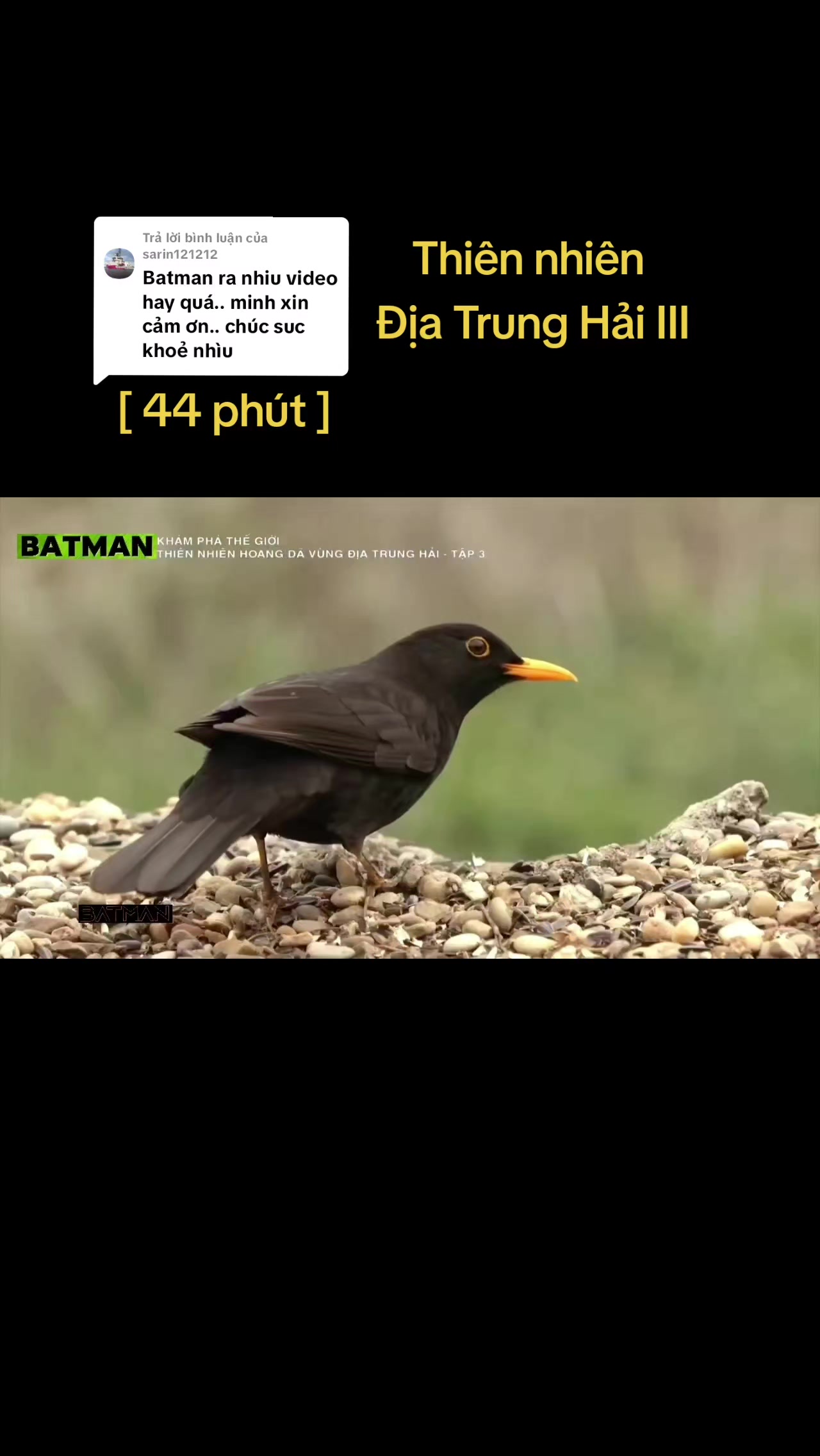 @🌏 BATMAN