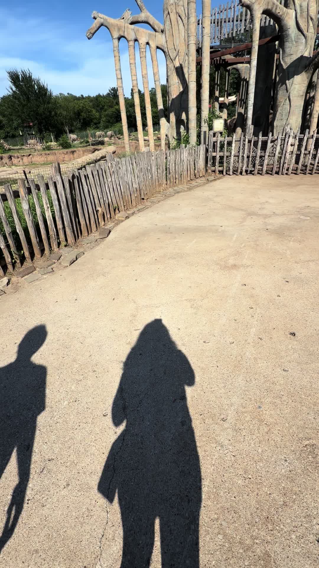 @Liiz🦋🤍🙏