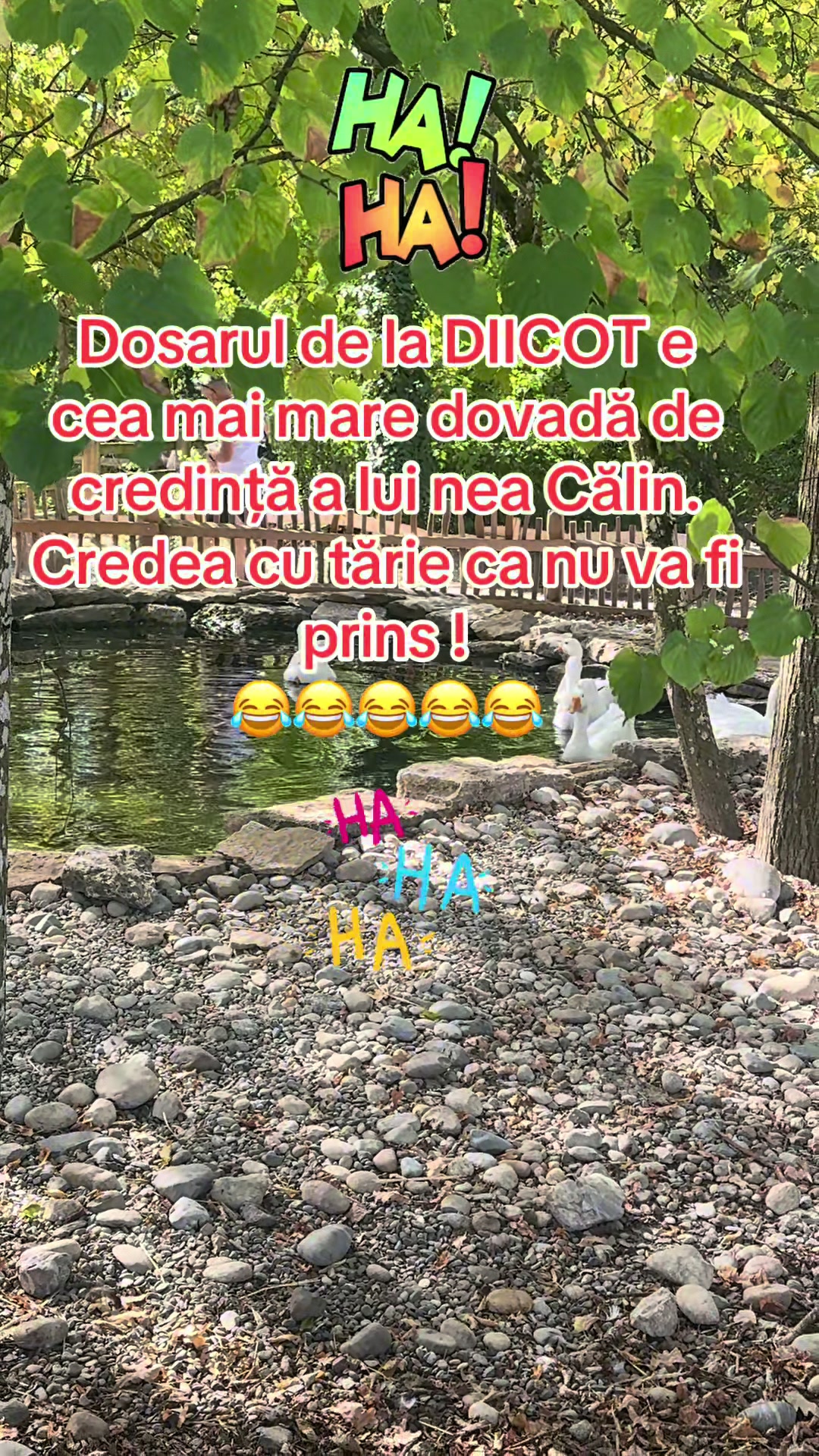 @Sebastian din Ardeal™