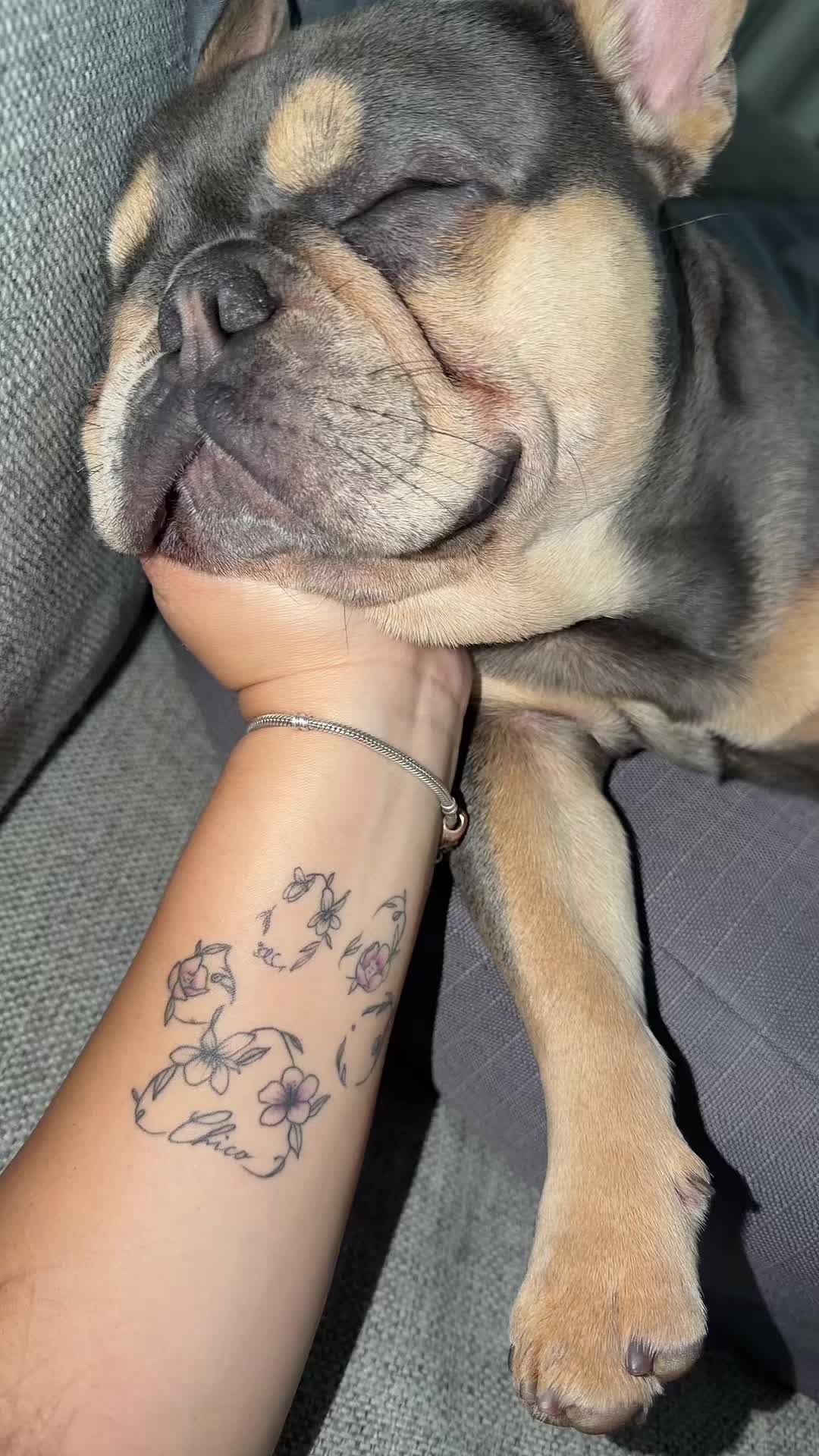 @CANELO & MAYA🐾🧡💜 ALVAREZ