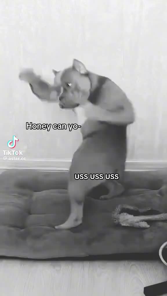 @𝕰𝖓𝖛𝖔𝖞𝖑 ♱