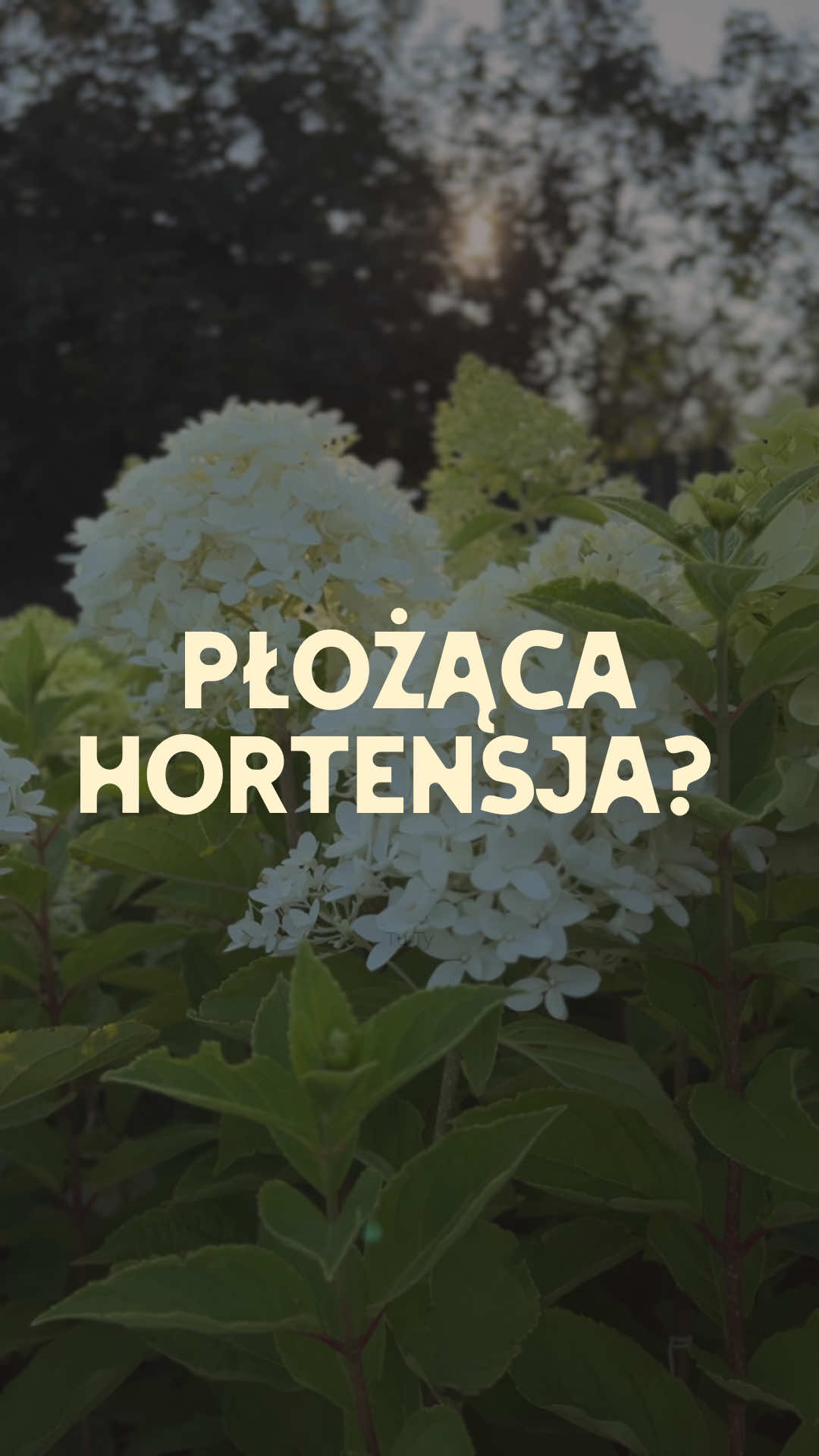 @Ogrodnik Doskonały