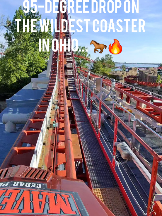 @amusemecoasters