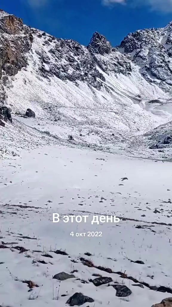 @adiletbekishov