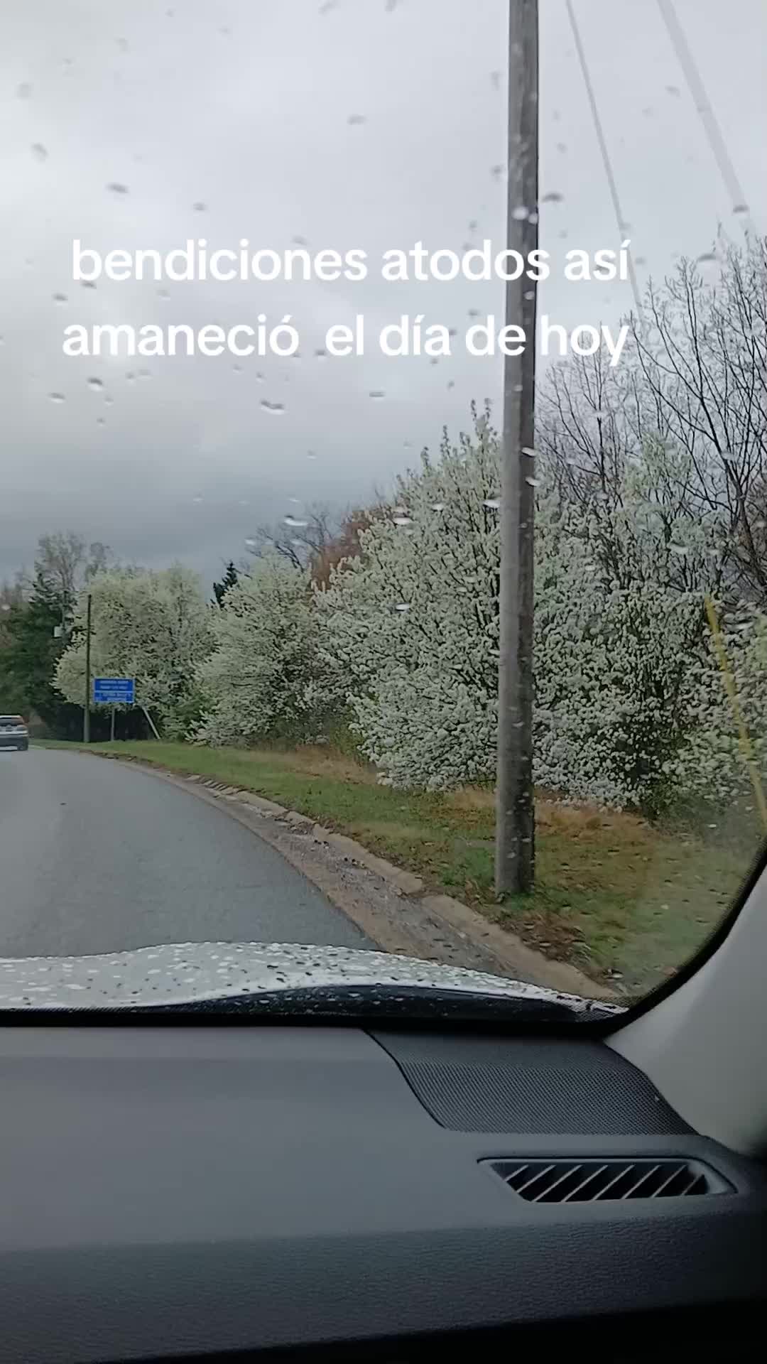 @roxana Quinteros