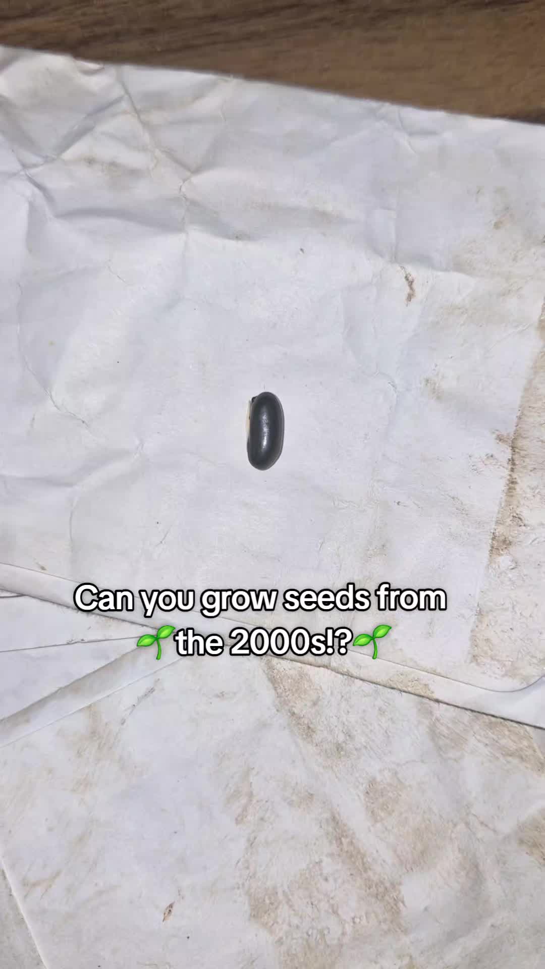 @big veiny dih hopps69🌱
