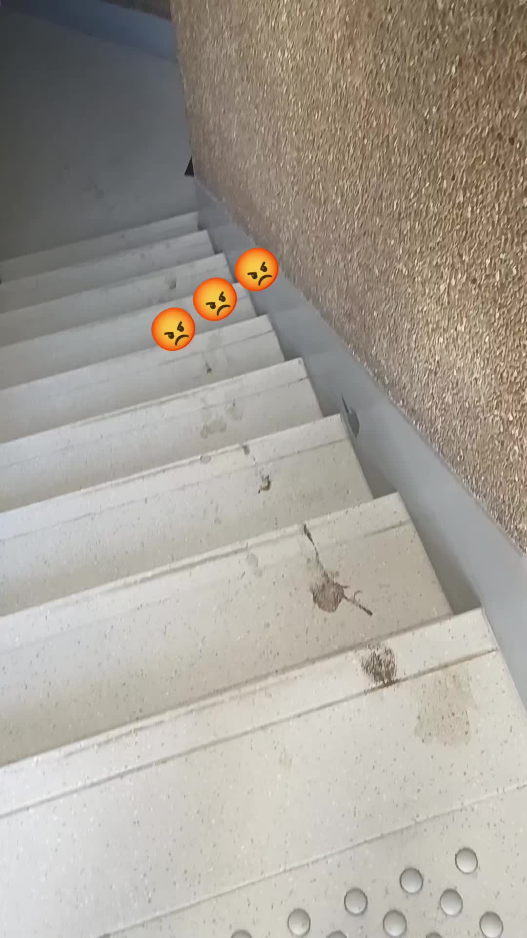 @zaphiradzfr