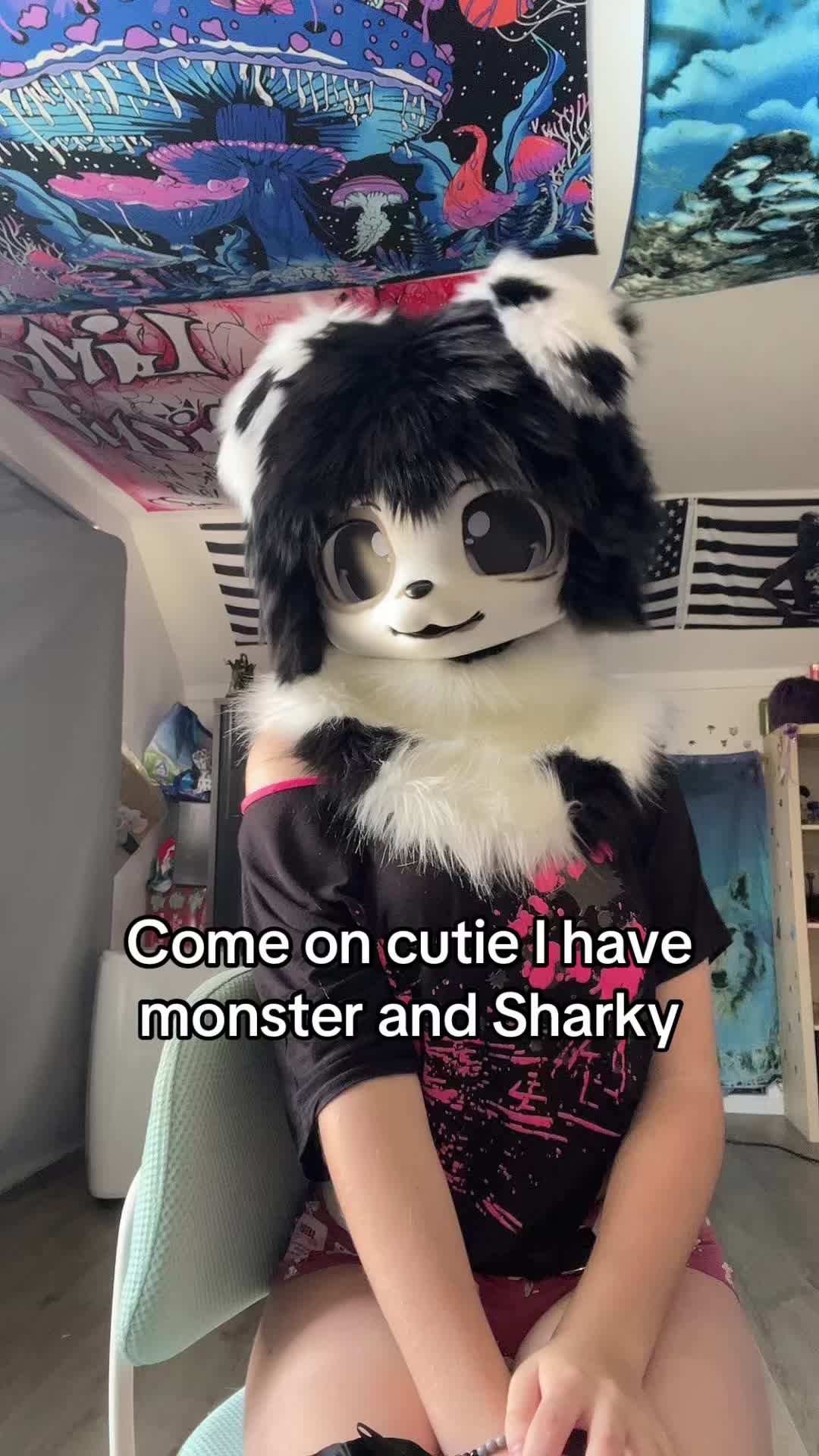 @🐾koddyyyyy🐾