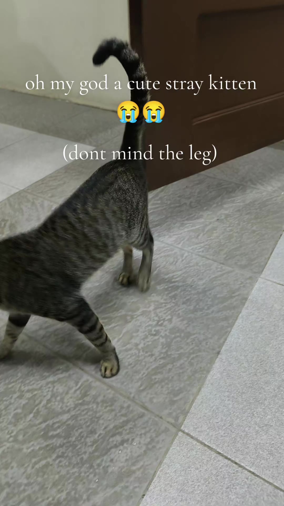 @๐๐ก๐ฏ๐ฆ๐๐ช๐ ๐๐ฆ๐ช๐_-แกแ ตแ แก‡