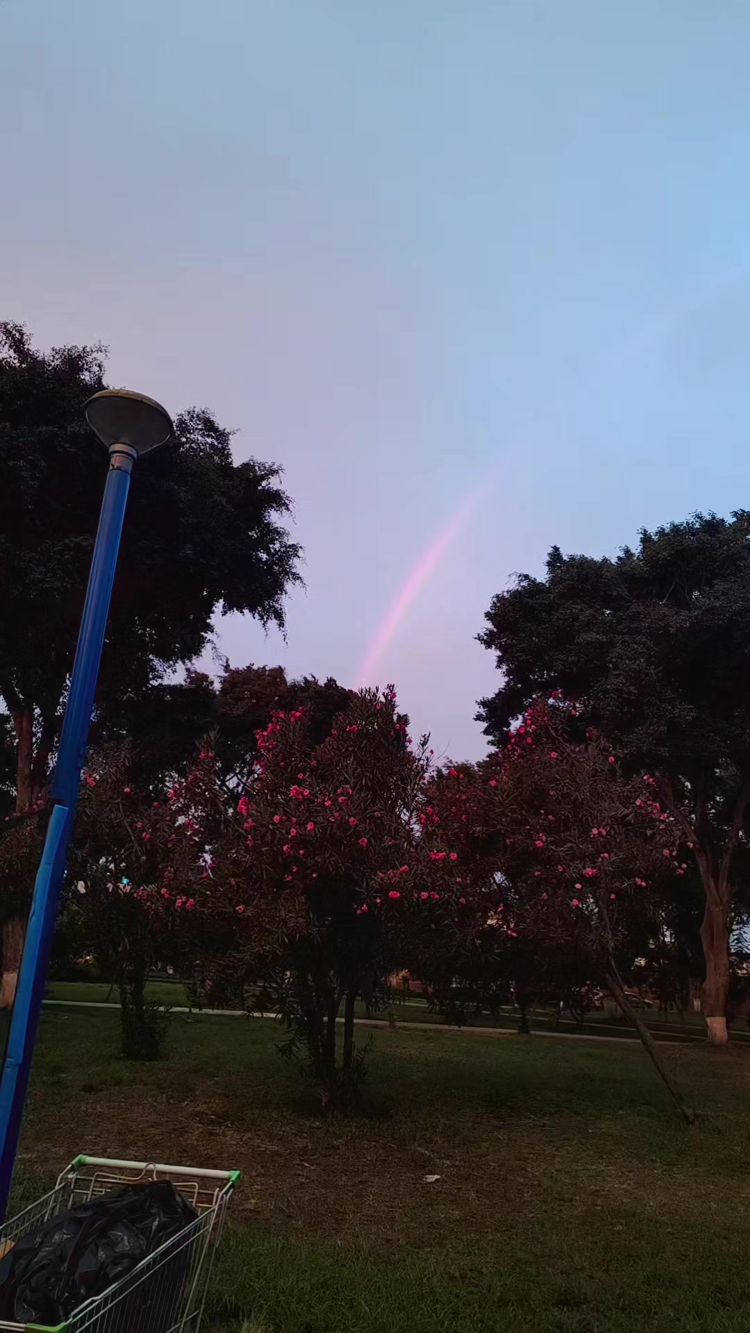 @Celmira