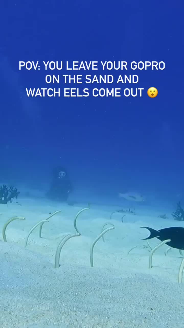 @Scuba Diving with Ara